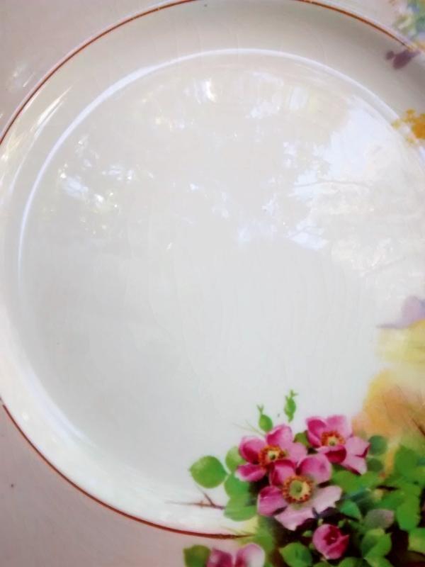 Royal Winton/Grimwades Landscape w/Wild Roses Plate 8.75