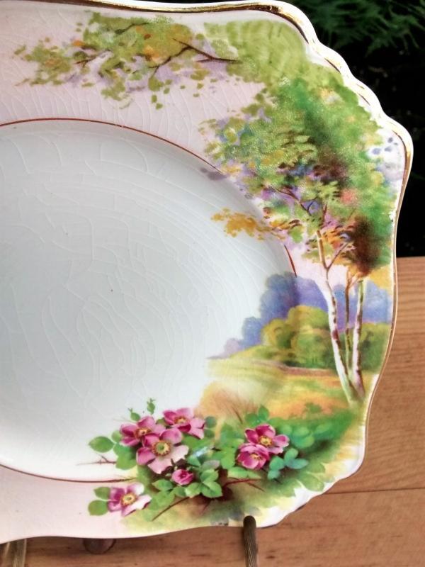 Royal Winton/Grimwades Landscape w/Wild Roses Plate 8.75