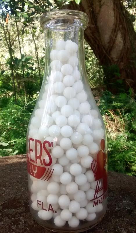 C.C. Sellers' Dairy Milk Bottle Tallahassee Florida 1940s RQ ACL Family Scene