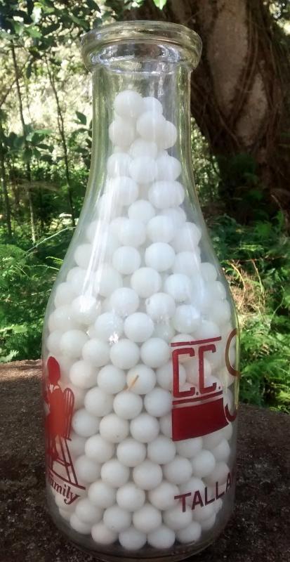 C.C. Sellers' Dairy Milk Bottle Tallahassee Florida 1940s RQ ACL Family Scene