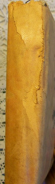 Painted Leather Souvenir Photo Album Pittsburgh PA Early 1900's