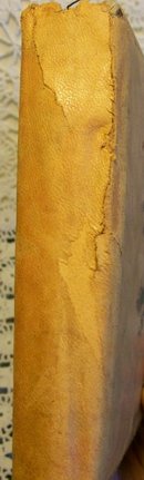 Painted Leather Souvenir Photo Album Pittsburgh PA Early 1900's