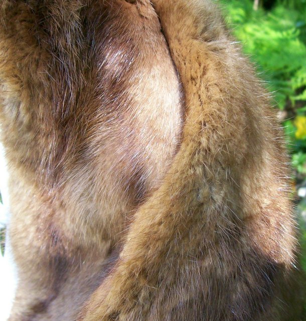 Mink Stole Fur Wrap 1940's-50's Morin Canada