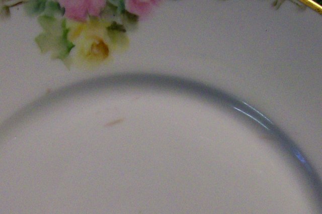 Hand-painted Rosenthal Plate