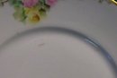 Hand-painted Rosenthal Plate