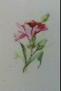 Austrian Porcelain Vase Grecian-Style 14.5