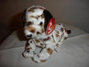 Ty Beanie Baby Dog