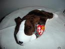 Ty Beanie Baby Dog