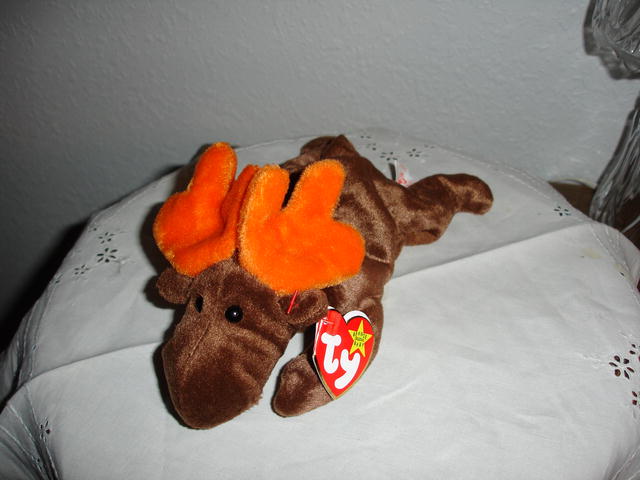 Ty Beanie Baby Moose