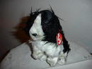 Ty Beanie Baby Dog