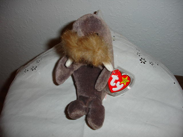 Ty Beanie Baby Walrus