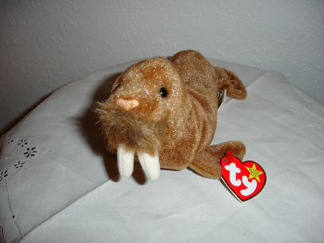 Ty Beanie Baby Walrus