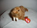 Ty Beanie Baby Walrus