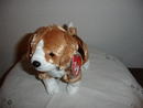 Ty Beanie Baby Dog