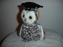 Ty Beanie Baby Owl