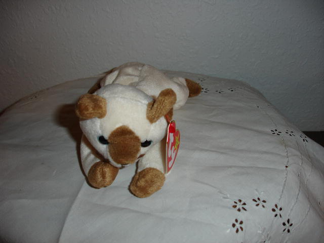 Ty Beanie Baby Cat