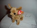 Ty Beanie Baby Chihuahua