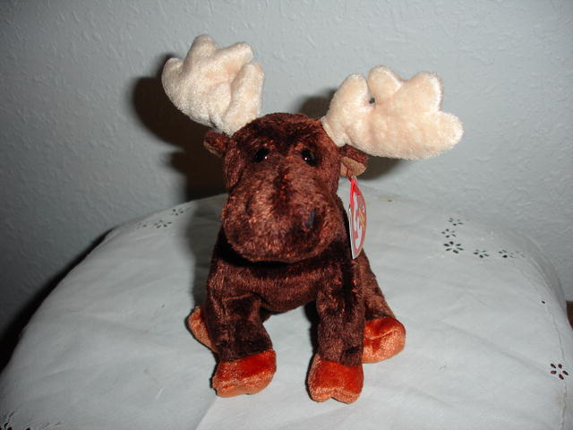 Ty Beanie Baby Moose