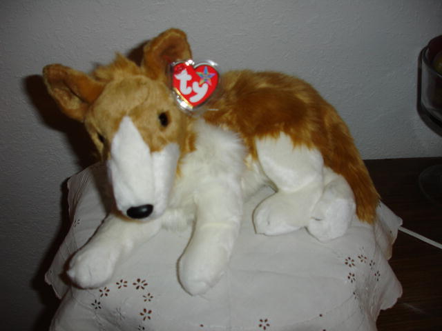 Ty Beanie Buddy Dog