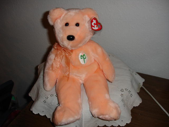 Ty Beanie Buddy Bear
