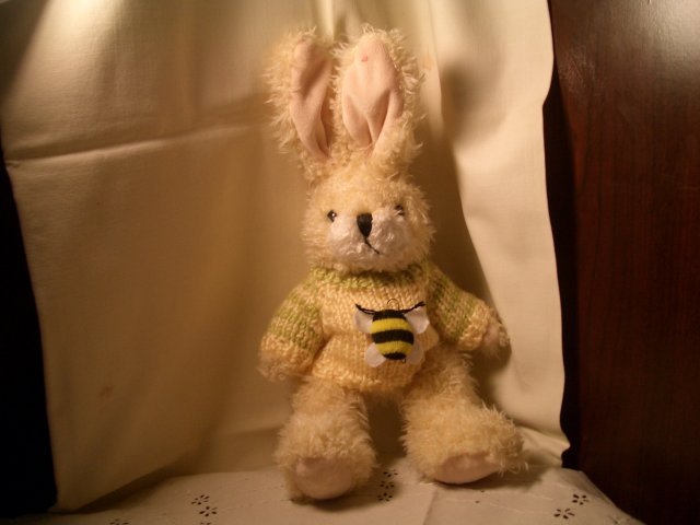 Hugfun Int'L. Inc. Bunny
