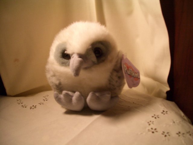 Puffkins Falcon