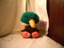 Puffkins Duck