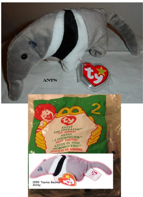 TY Beanie Baby & Teanie Beanie Pair of Anteaters