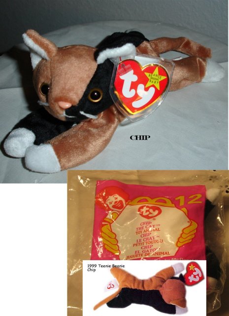 TY Beanie Baby & Teanie Beanie Pair of Cats