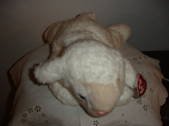 TY Beanie Buddy Lamb