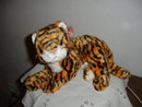TY Beanie Buddy Tiger