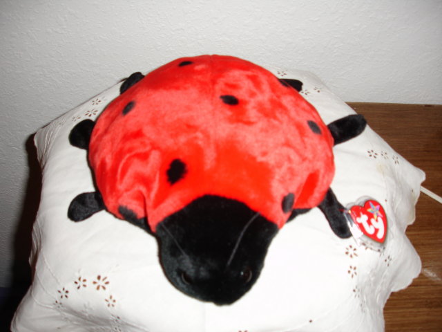 TY Beanie Buddy Ladybug