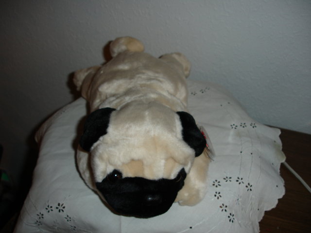 TY Beanie Buddy Dog