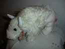 TY Beanie Buddy Buffalo