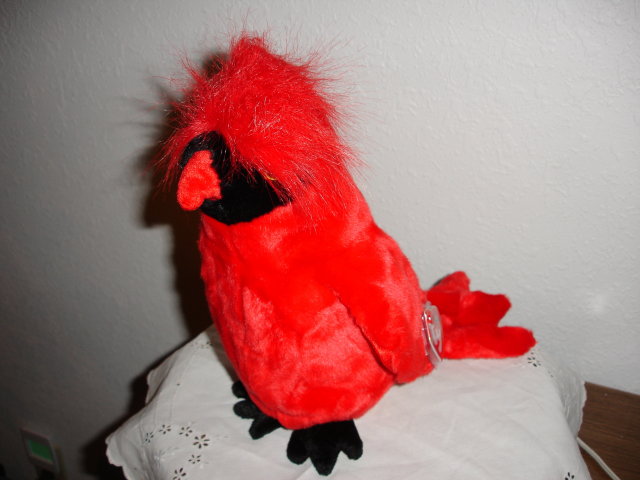 TY Beanie Buddy Cardinal