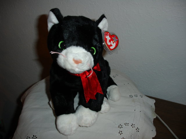 TY Beanie Buddy Cat