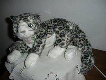 TY Beanie Buddy Cat