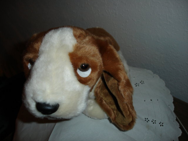 TY Beanie Buddy Dog