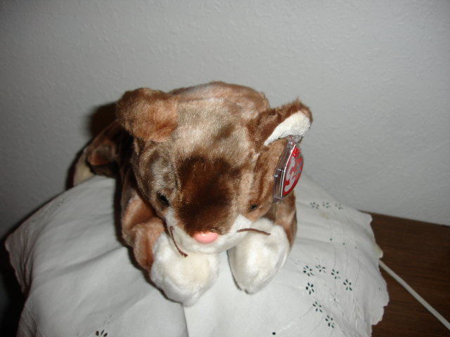 TY Beanie Buddy Cat