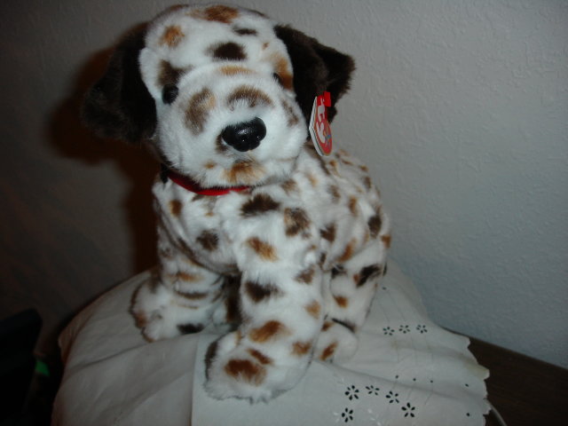 TY Beanie Buddy Dalmatian
