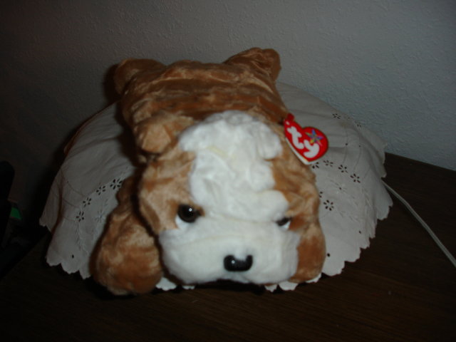 TY Beanie Buddy Dog
