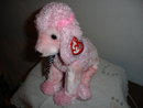 TY Beanie Buddy Poodle