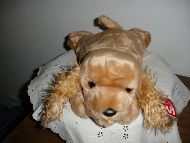 TY Beanie Buddy Cocker Spaniel