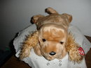 TY Beanie Buddy Cocker Spaniel