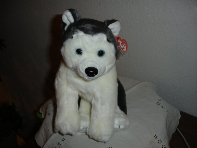 TY Beanie Buddy Husky