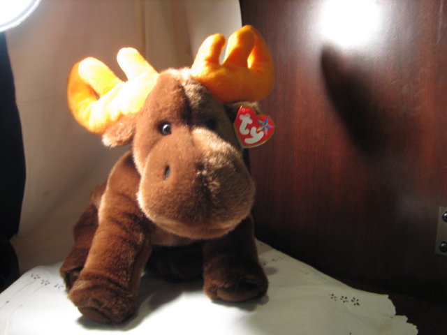 TY Beanie Buddy Moose