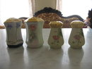 HAND PAINTED C S PRUSSIA SALT AND PEPPER