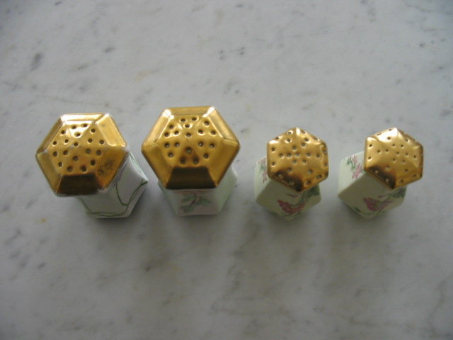 HAND PAINTED C S PRUSSIA SALT AND PEPPER