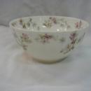 Haviland 5 1/2