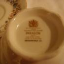 Paragon Cup and saucer, Meadowvale L/L